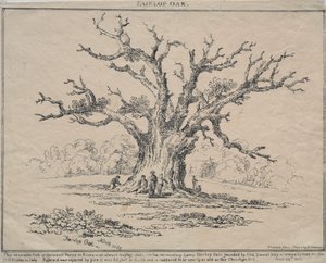 فيرلوب أوك بواسطة D. H. Redman