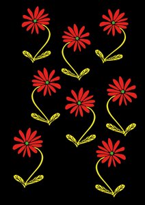 زهور الأقحوان تكرر خلفية سوداء (رقمي)