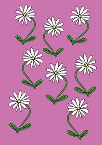 زهور الأقحوان تكرر الخلفية الوردية (رقمي)