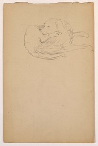 رسم، داش (سيتر)، حوالي عام 1862 بواسطة دانييل هنتنغتون