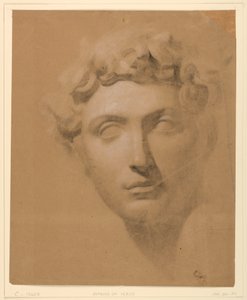 رسم، رأس ذكر من الجص، 1840 بواسطة دانييل هنتنغتون