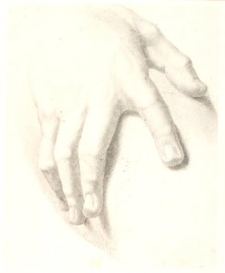 دراسة اليد