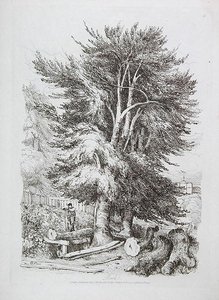 خشب الزان 18 ، رسم توضيحي من الدروس التقدمية على المناظر الطبيعية للمبتدئين الصغار ، 1816 (الحفر الناعم) بواسطة ديفيد كوكس