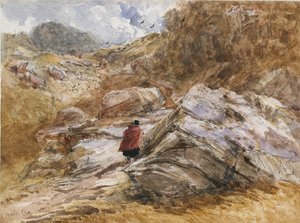 ممر الجبل في Bettws-y-Coed ، 1851 بواسطة ديفيد كوكس الأكبر
