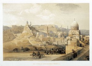 قلعة القاهرة ، قصر محيمت علي في "الأرض المقدسة" ، لندن 1849. بواسطة ديفيد روبرتس