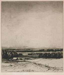 وادي تاي