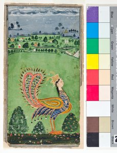 طاووس أسطوري برأس امرأة ، حوالي عام 1750 (معتم ث - ج وذهبي على ورق)