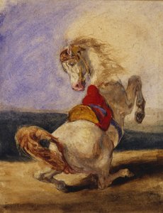 تربية الخيول