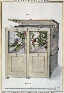 حاوية لنقل الأشجار المفيدة والمثيرة للاهتمام ، لوحة مائية من Delahaye ، استنادًا إلى Florindie ou Histoire physico-Economicique des Vegetaux de la Torride (التاريخ الفيزيائي والاقتصادي للنباتات من المناطق المدارية) بواسطة ديلاهاي ديلاهاي