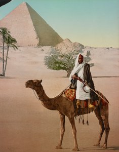 بدو على جمل والهرم الأكبر ، كاريو ، مصر
