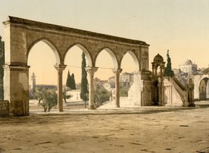  بواسطة شركة ديترويت للنشر