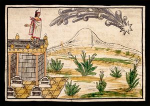 مونتيزوما يراقب المذنب ، صورة مصغرة من تاريخ جزر الهند بواسطة دييغو دوران (1537-1588)