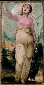 شخصية أنثوية. لوحة لدومينيكو بيكافومي (1486-1551). سيينا ، كونسيرفاتوريو بواسطة دومينيكو بيكافومي