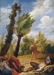 مثل القمح والزوان ، 1620.