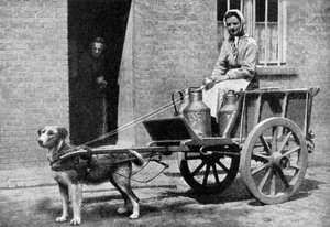 امرأة لبنانية بلجيكية في جولتها الصباحية ، بلجيكا ، 1922. بواسطة دونالد ماكليش