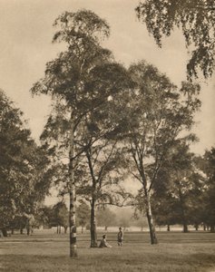 The Lace-Work of the Leaves: A Summer Morning in Hyde Park ، c1935. بواسطة دونالد ماكليش
