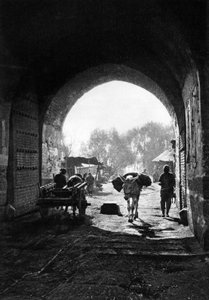  بواسطة دونالد ميني