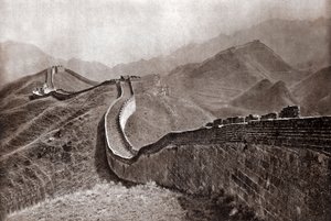  بواسطة دونالد ميني