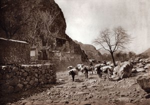  بواسطة دونالد ميني