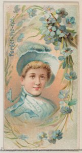 Forget-Me-Not ، من سلسلة Floral Beauties and Language of Flowers N75 لـ Duke Bran ... ، 1892. بواسطة دونالدسون براذرز