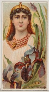 Iris: Sweet Message ، من سلسلة الأزهار الجميلة ولغة الزهور N75 لدوك ... ، 1892. بواسطة دونالدسون براذرز