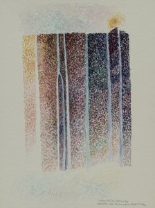 شلالات ترونادور، الأرجنتين