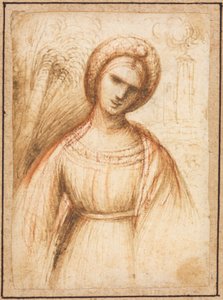 سيدة في مستطيل أفقي ، ملف شخصي بطول صدر لامرأة مسنة ، ج. 1521. بواسطة دوسو دوسي