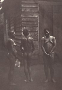 لوحة ثلاث نساء ملغاشية 30 ، 1863.