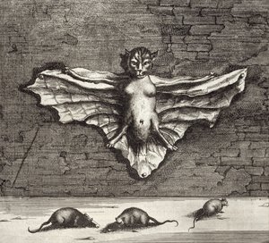 خفاش يعرف باسم القط الطائر ، من الصين رسمه أثناسيوس كيرشر (1601-80) 1667 بواسطة المدرسة الهولندية