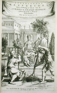 صفحة العنوان من "De Nederlandze Hesperides" بقلم جان كوملين ، نُشرت عام 1676 (نقش) بواسطة المدرسة الهولندية