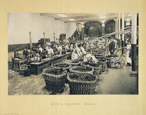 تعبئة الشمبانيا ، من La France Vinicole ، نشرها Moet & Chandon ، Epernay (فوتوليثو)