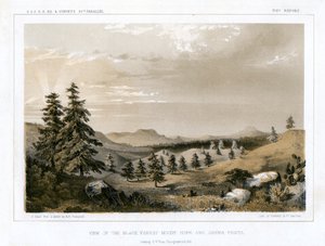 الغابة السوداء ماونت هوب وسييرا برييتا ، الولايات المتحدة الأمريكية ، 1856. بواسطة البريد شجاع