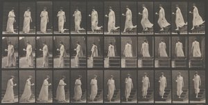 حركة الحيوان. تحقيق كهربائي فوتوغرافي ... لحركات الحيوانات. تبدأ ... ، 1880. بواسطة ايدويرد مويبريدج