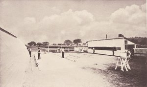 الحصان في الحركة كما يظهر في التصوير الفوري. مع دراسة على الحيوان ... ، 1881-1882. بواسطة ايدويرد مويبريدج