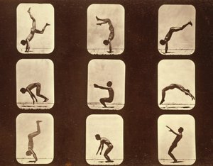 الرياضيين. سلسلة Flip Flap 'Animal Locomotion' ، حوالي 1881 (صورة بالأبيض والأسود) بواسطة ايدويرد مويبريدج