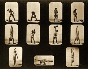 الرياضيين. الموقف من سلسلة "تحريك الحيوانات" ، ج 1881 بواسطة ايدويرد مويبريدج