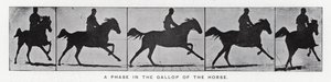 Eadweard Muybridge: مرحلة في عدو الحصان (صورة بالأبيض والأسود) بواسطة ايدويرد مويبريدج