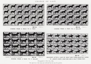 Eadweard Muybridge: تغيير المشية (b / w photo) بواسطة ايدويرد مويبريدج