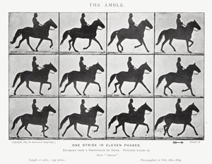 Eadweard Muybridge: The Amble (صورة b / w) بواسطة ايدويرد مويبريدج