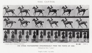Eadweard Muybridge: The Canter (صورة b / w) بواسطة ايدويرد مويبريدج
