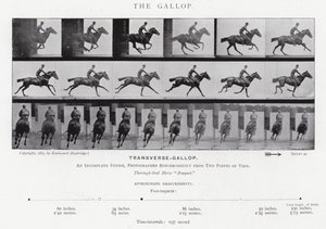 Eadweard Muybridge: The Gallop (b/w photo) بواسطة ايدويرد مويبريدج