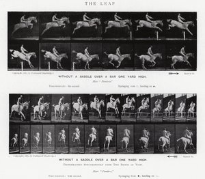 Eadweard Muybridge: The Leap (b/w photo) بواسطة ايدويرد مويبريدج
