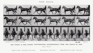 Eadweard Muybridge: The Rack (صورة b / w) بواسطة ايدويرد مويبريدج