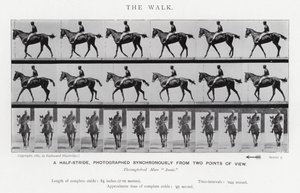 Eadweard Muybridge: The Walk (b/w photo) بواسطة ايدويرد مويبريدج