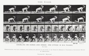 Eadweard Muybridge: The Walk (b/w photo) بواسطة ايدويرد مويبريدج