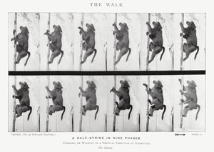 Eadweard Muybridge: The Walk (صورة b / w) بواسطة ايدويرد مويبريدج