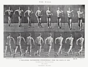 Eadweard Muybridge: The Walk (صورة b / w) بواسطة ايدويرد مويبريدج