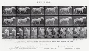 Eadweard Muybridge: The Walk (صورة b / w) بواسطة ايدويرد مويبريدج