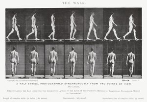 Eadweard Muybridge: The Walk (صورة b / w) بواسطة ايدويرد مويبريدج