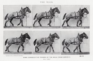 Eadweard Muybridge: The Walk (صورة b / w) بواسطة ايدويرد مويبريدج